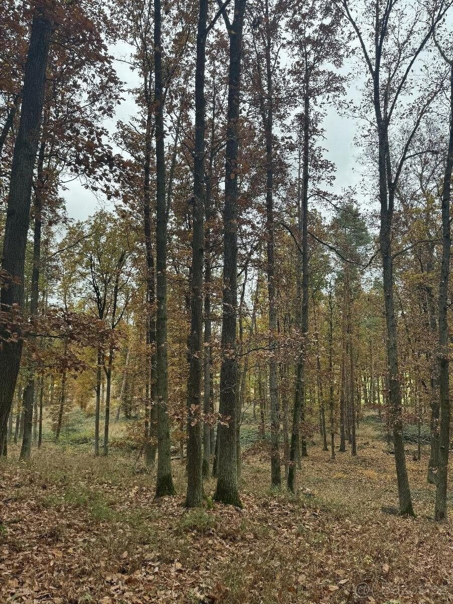 Pozemek pro bydlení