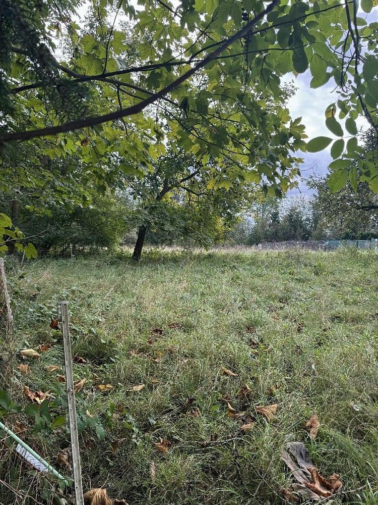 Pozemek · Velké Svatoňovice - Druztová - 3