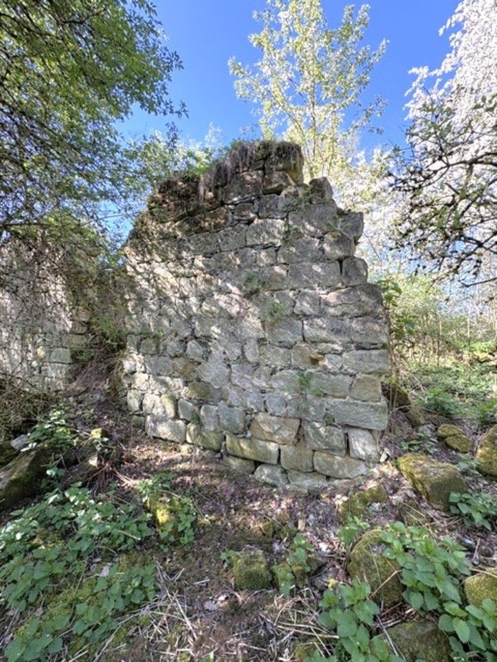 Pozemek · 7 898 m² · Úštěk Konojedy - 3
