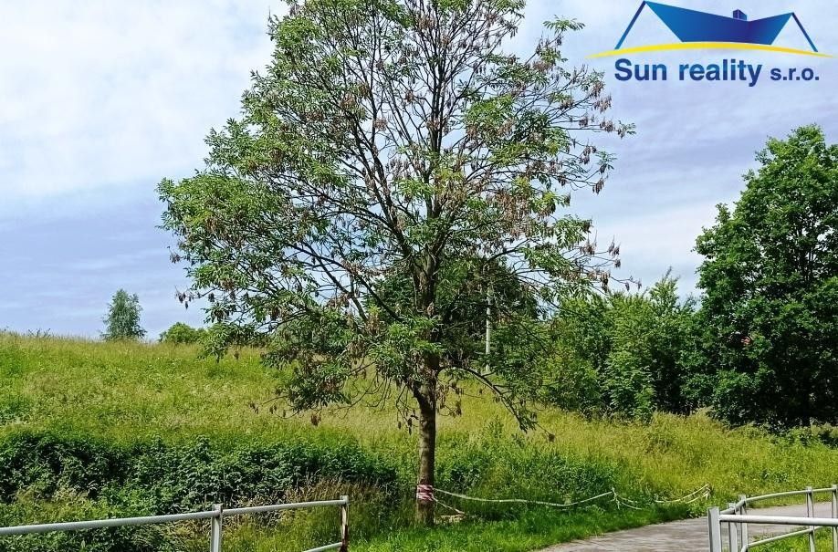 Prodej zahrada - Polom, 29 000 m²