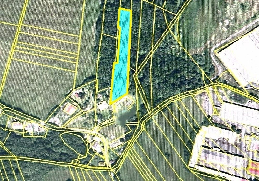 Les · Klenčí pod Čerchovem - 4