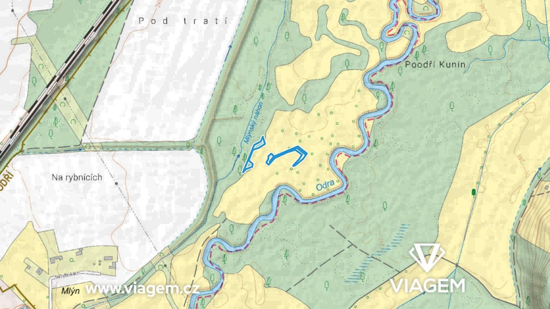 Les · Suchdol nad Odrou, okres Nový Jičín, Moravskoslezský kraj - 3