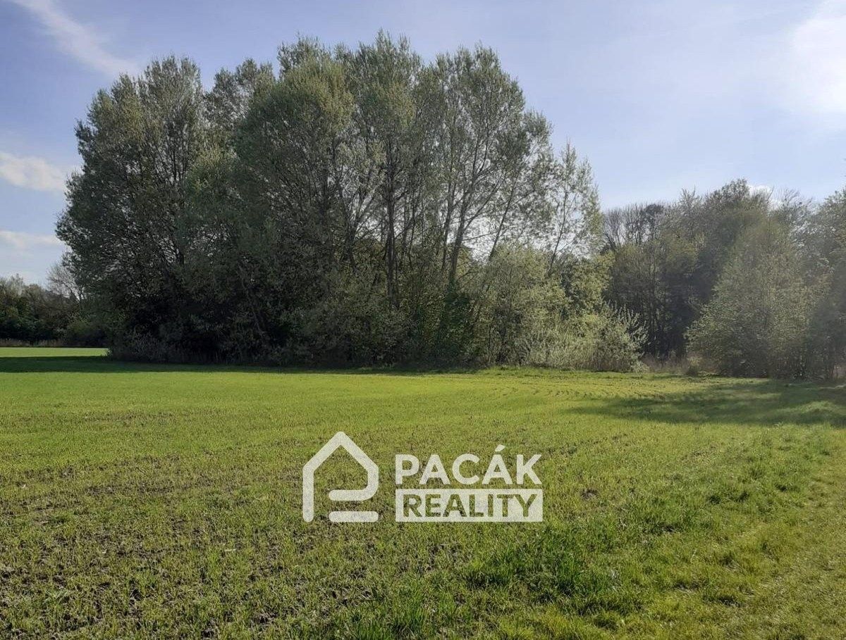 Prodej ostatní - Kožušany, Kožušany-Tážaly - 5