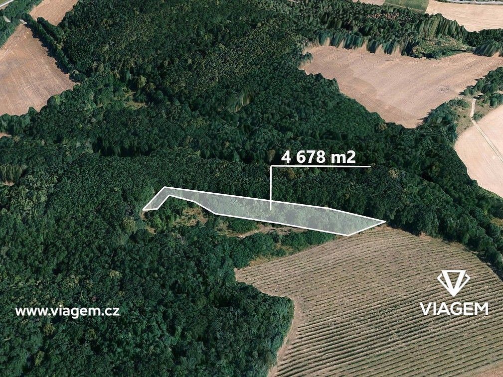 Les, 1 559 m²