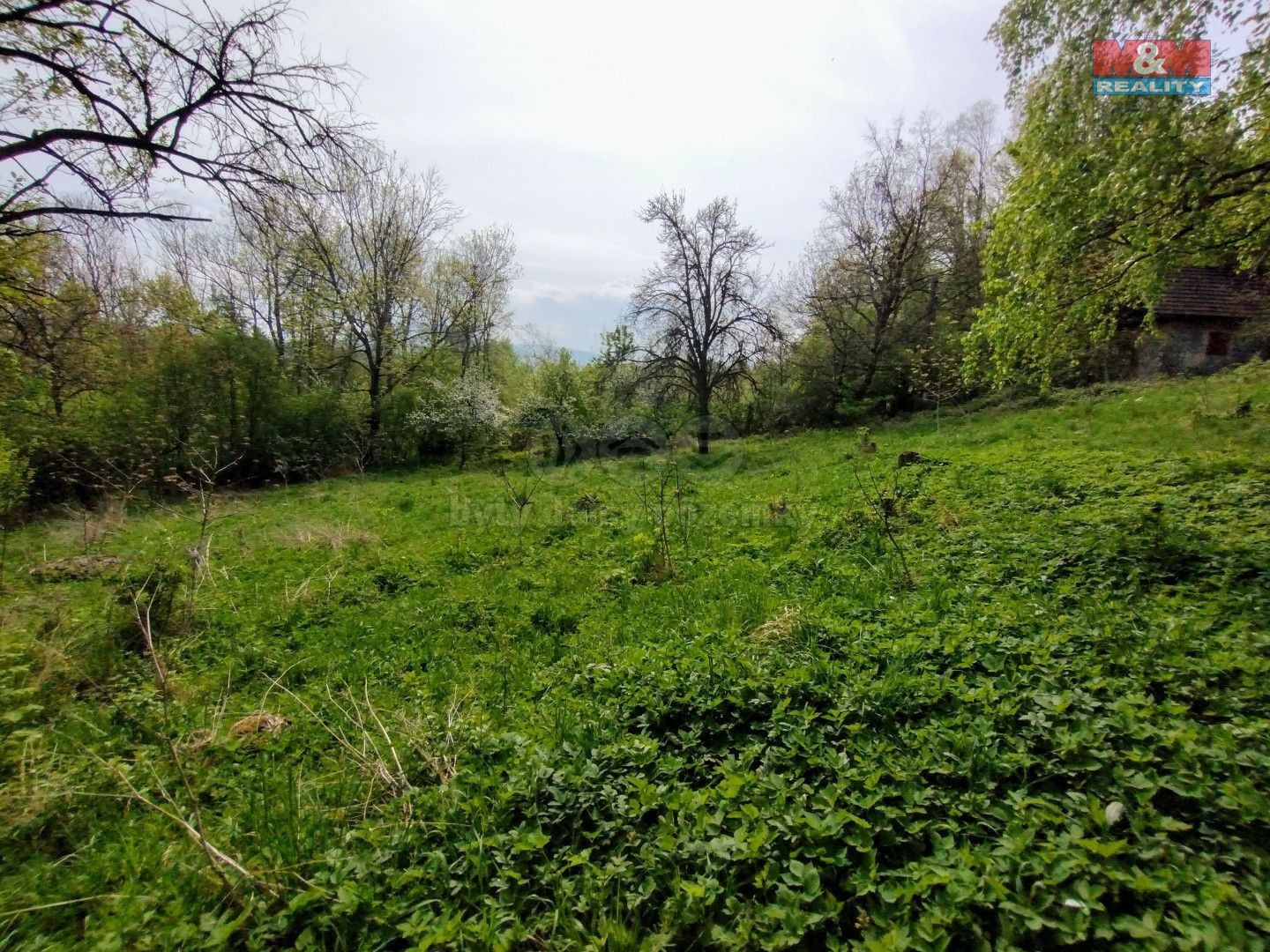 Chata · 38 m² · Hůrka, Jeseník nad Odrou - 4