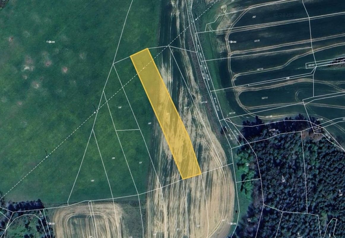 Zemědělské pozemky, Třebčice, 13 318 m²