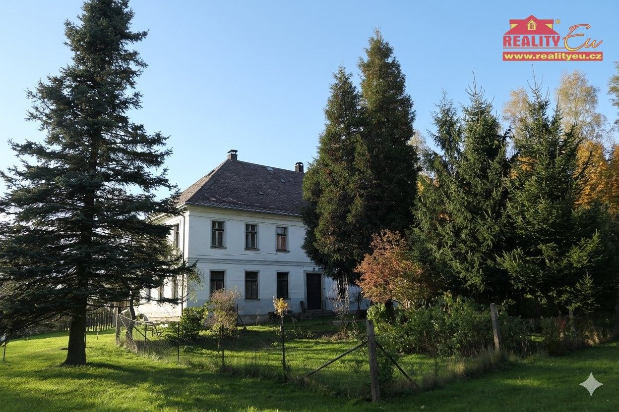 Rodinné domy, Olešnice v Orlických horách, 560 m²