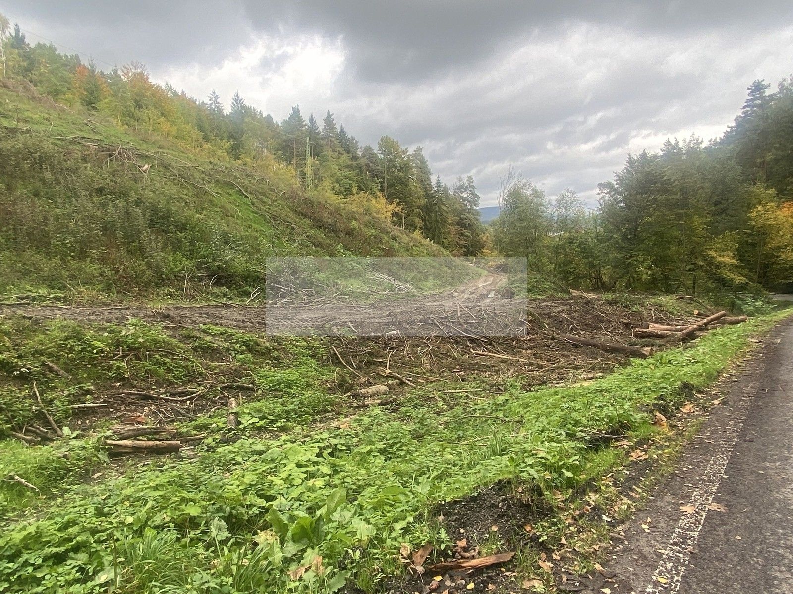 Lesy, Český Dub, 17 m²