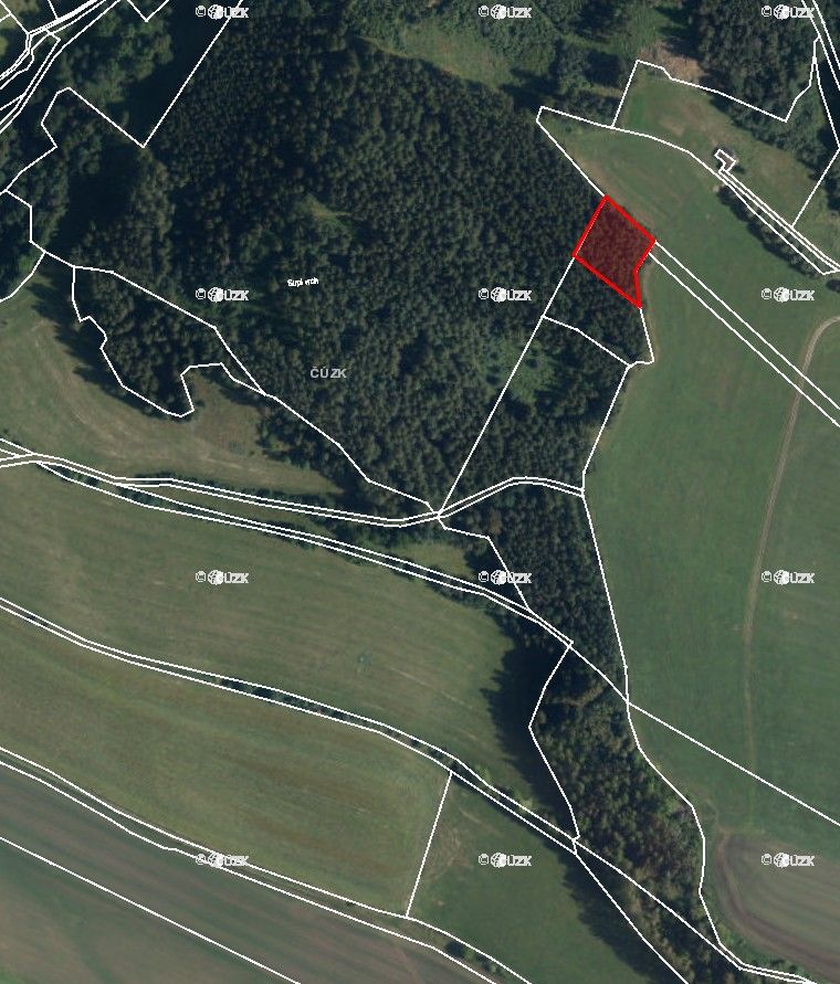 Prodej les - Česká Metuje, 549 56, 45 000 m²