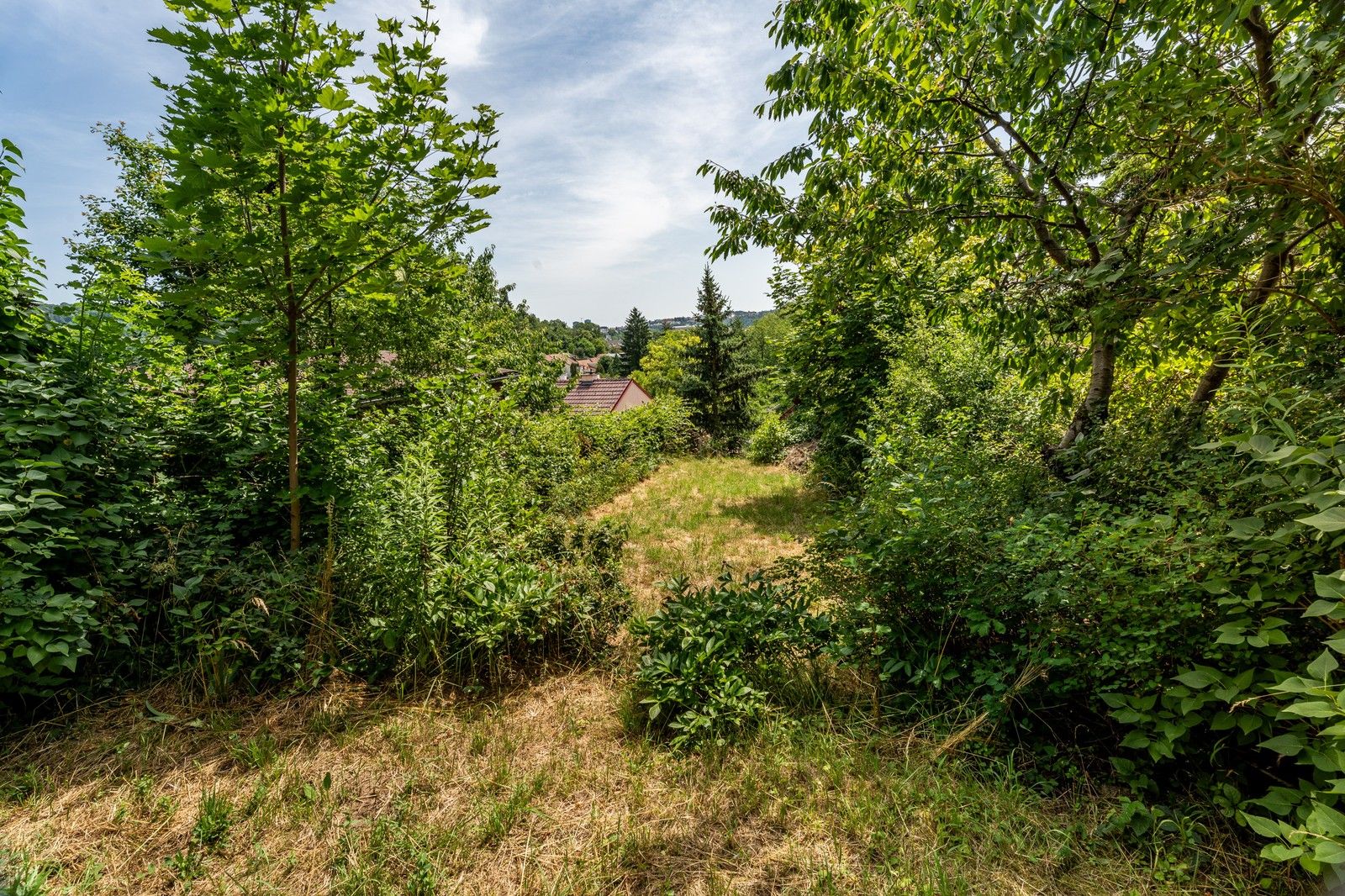 Prodej zahrada - Branka, Brno, 529 m²