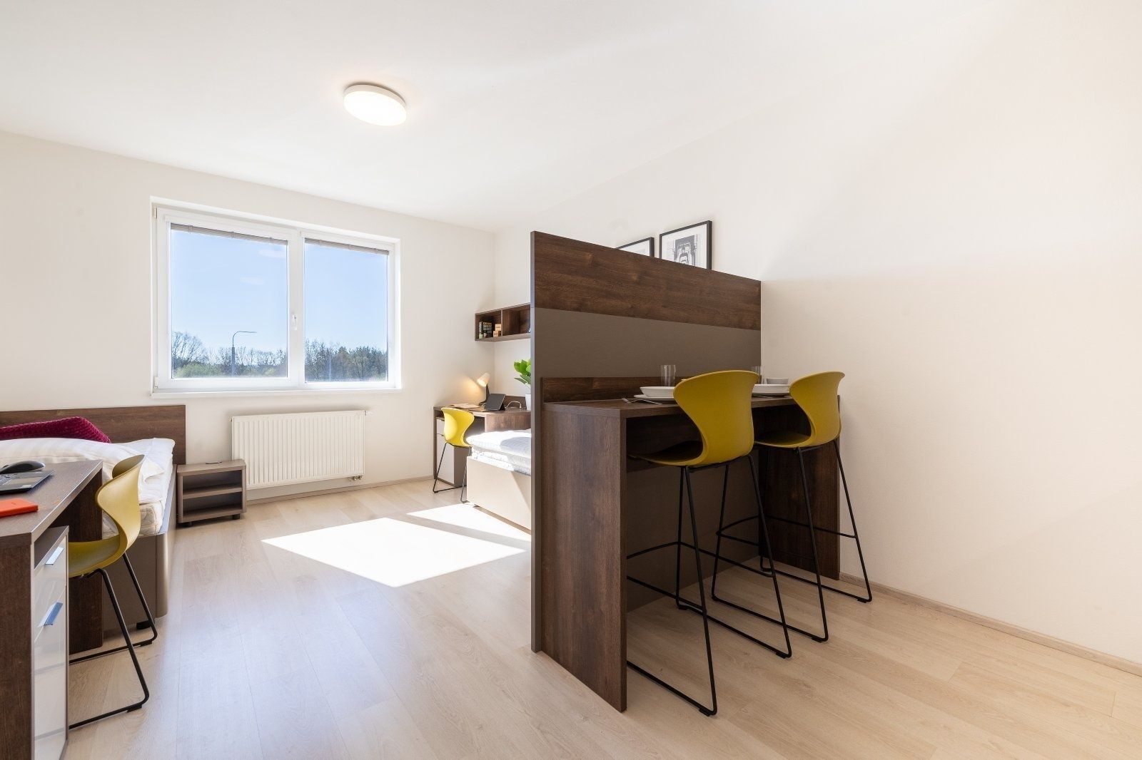 Byt 1+kk · 28 m² · Magisterská, Plzeň - Plzeň, Plzeňský kraj - 4