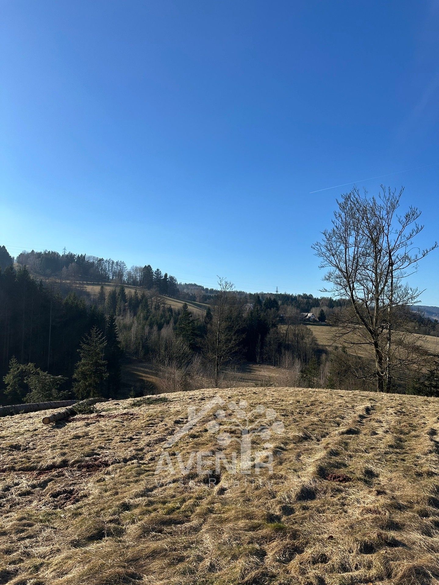 Prodej louka - Bozkov