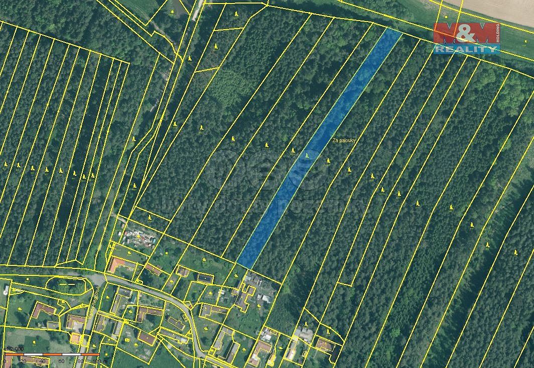 Lesy, Dražíč, okres České Budějovice, Jihočeský kraj - 1