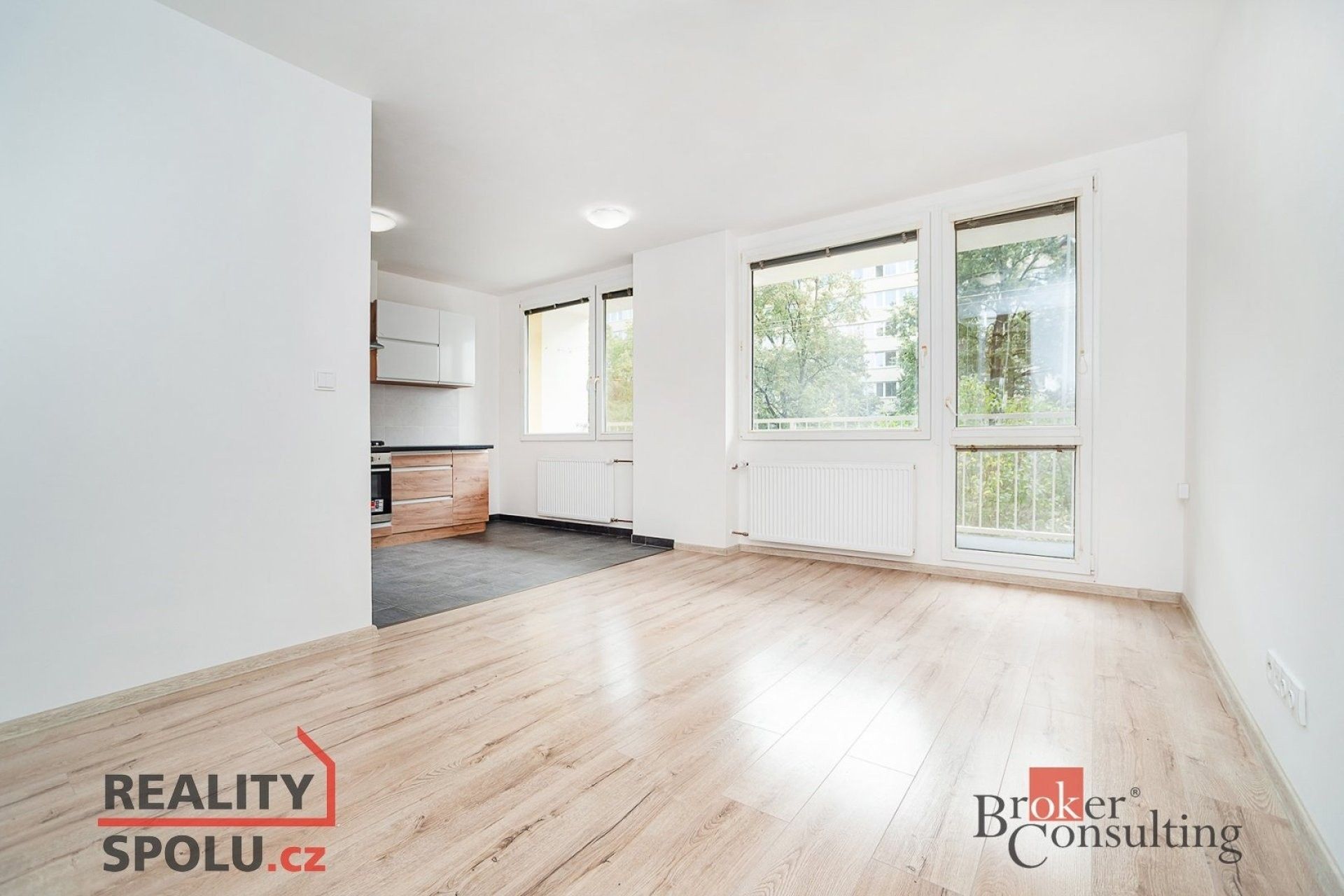 2+1, Rumburská, Praha, 47 m² - 2
