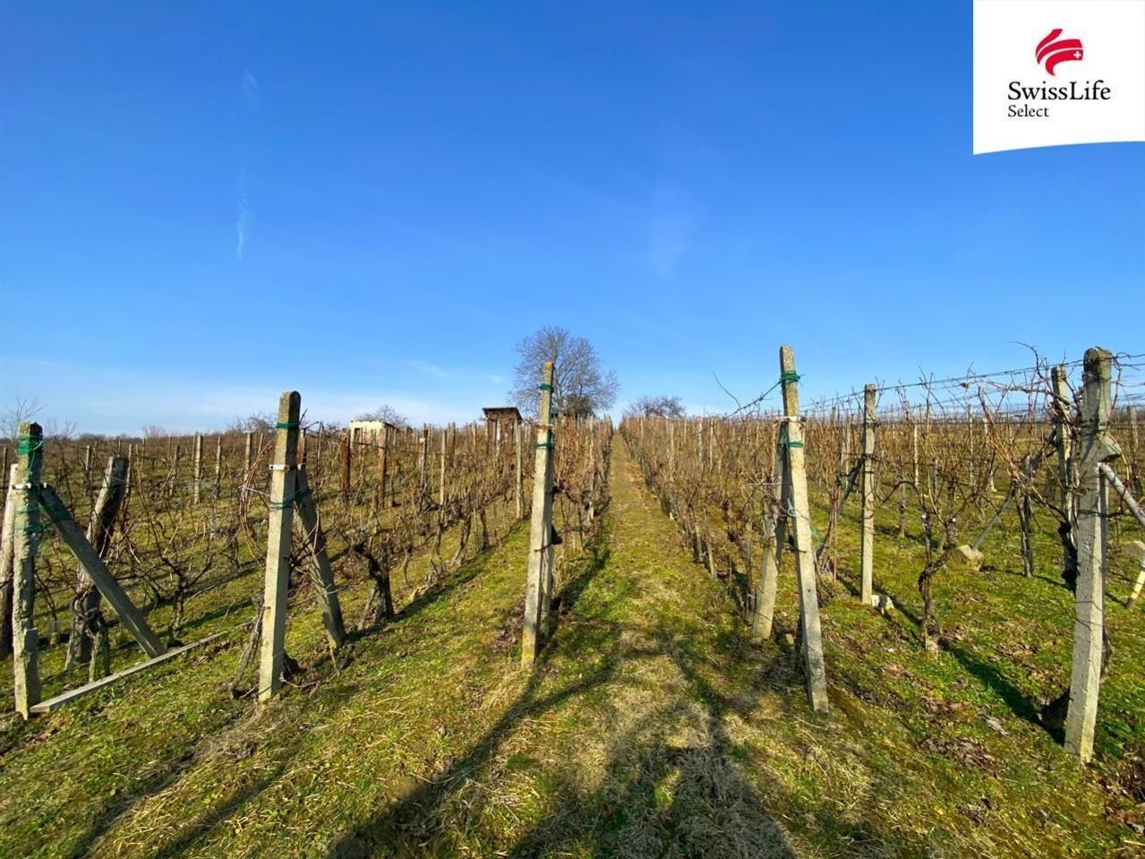 Prodej komerční pozemek - Bzenec