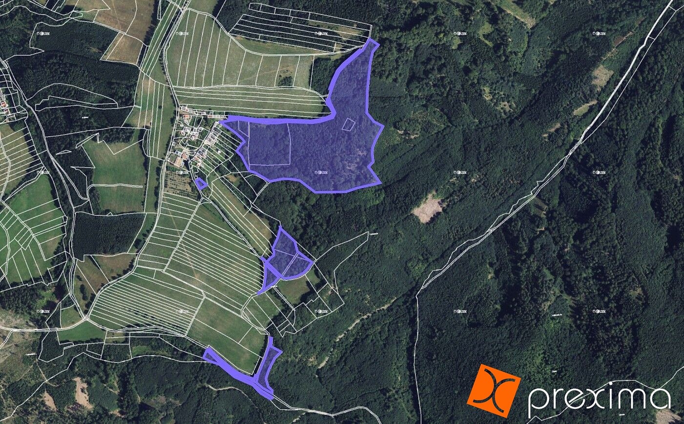 Les · Městečko Trnávka, okres Svitavy - 1