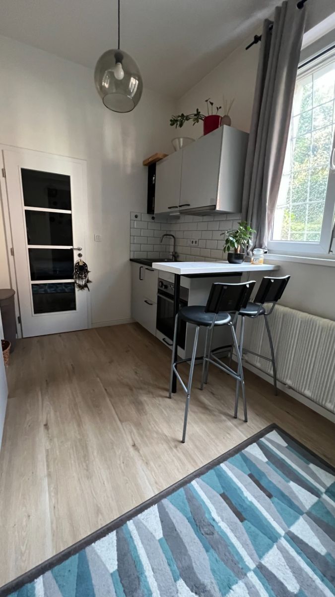 1+kk, Pod Vilami, Praha - Nusle, 21 m² - 2