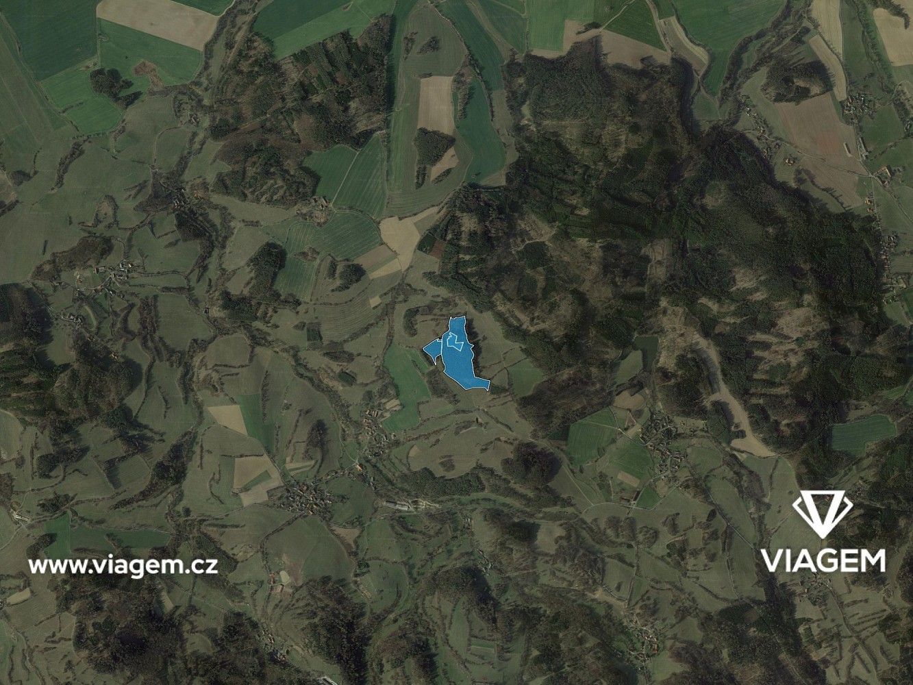 Les · Nechvalice, okres Příbram, Středočeský kraj - 3