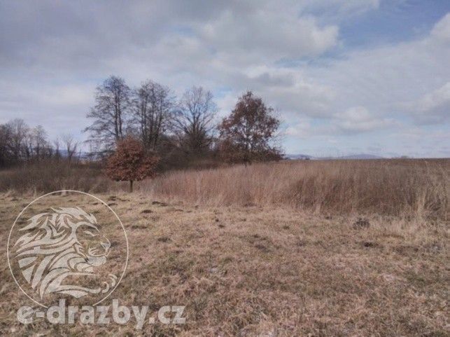 Ostatní, Janovice nad Úhlavou, 4 609 m²