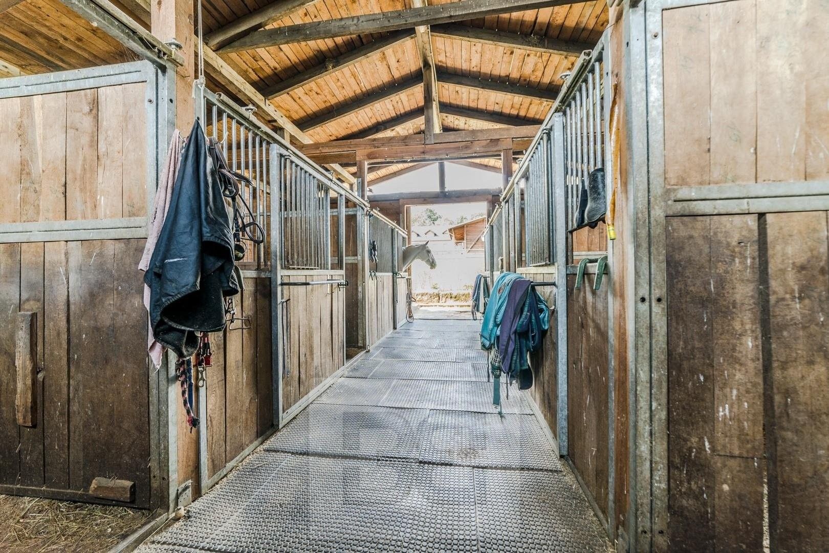 Prodej rodinný dům - Malečov, 400 m² - 5