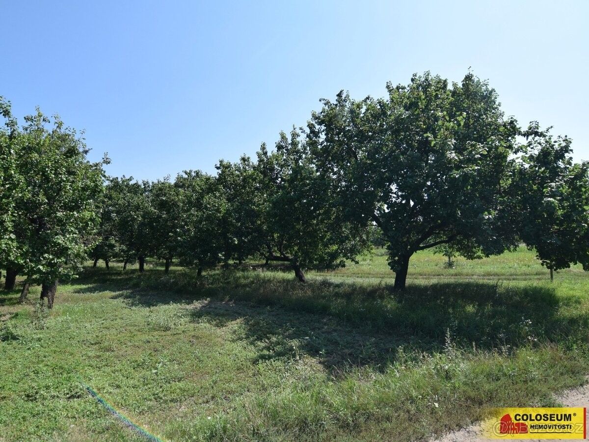 Prodej pozemek pro bydlení - Velké Pavlovice, 691 06