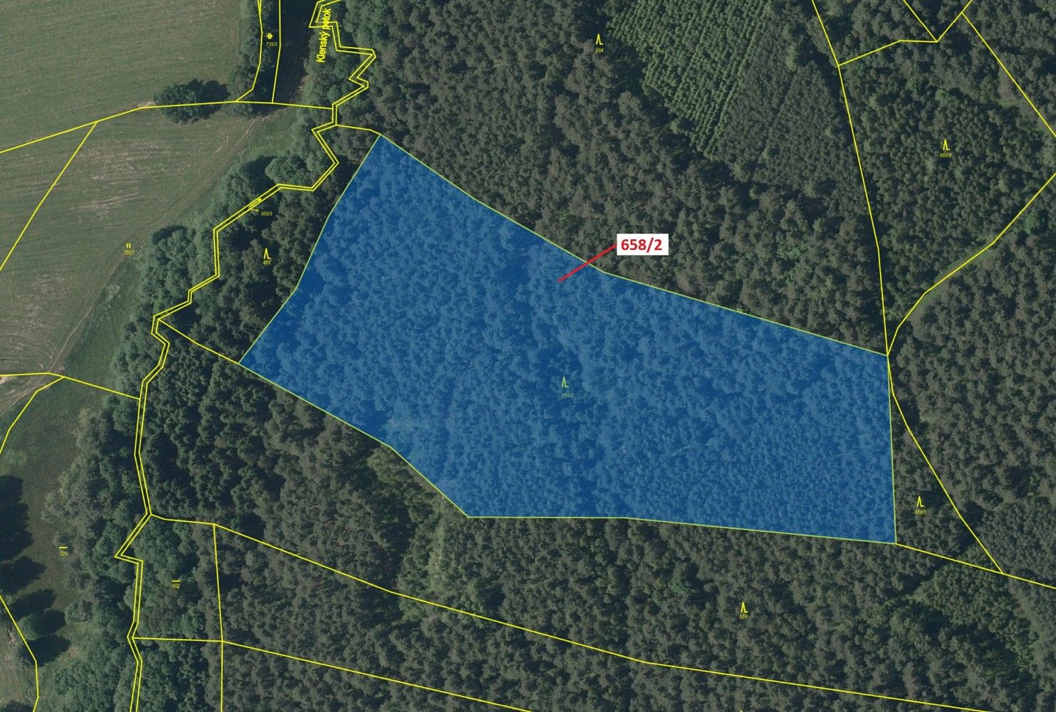 Prodej les - Slavče, okres České Budějovice, Jihočeský kraj - 2