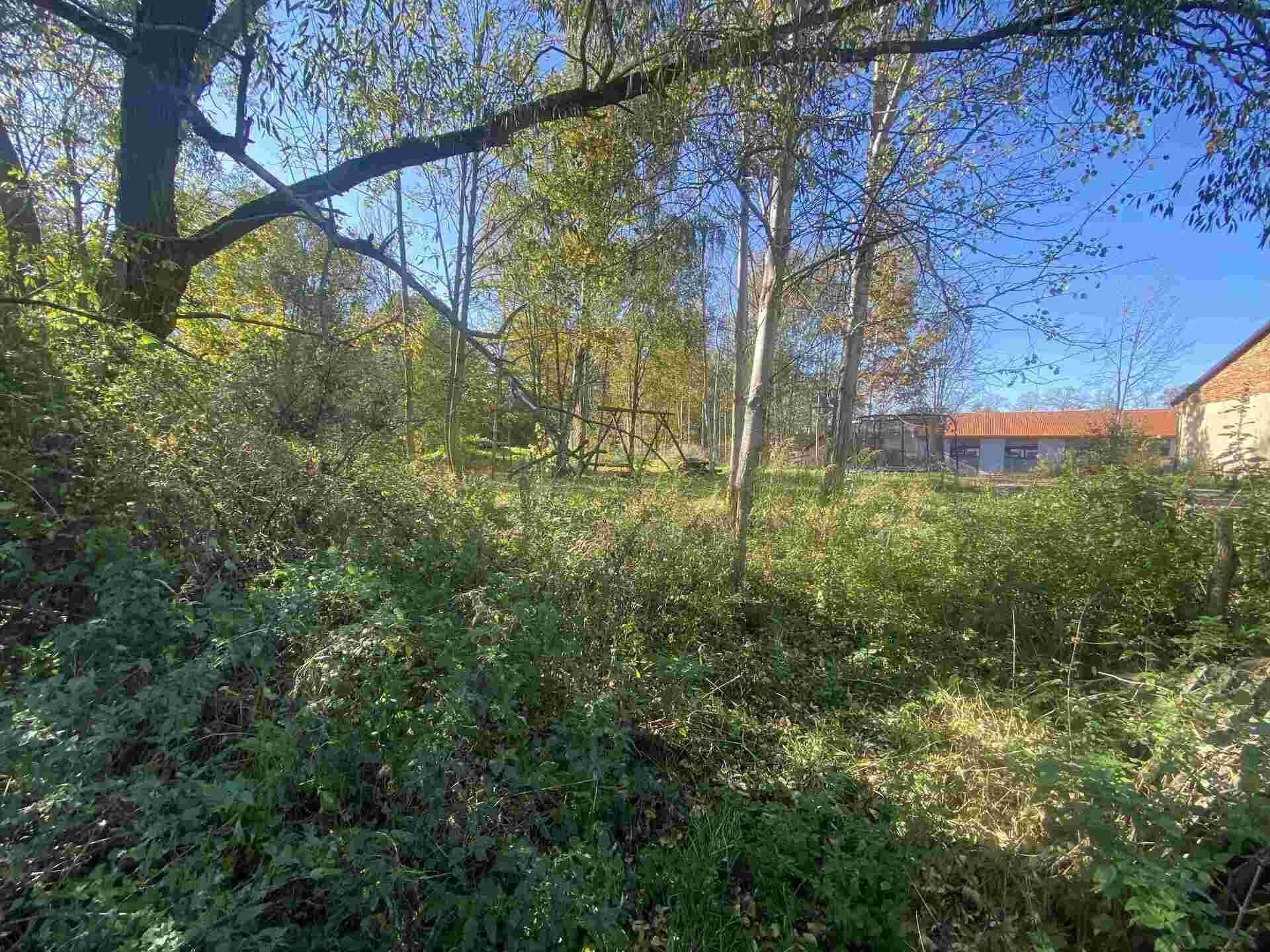 Pozemek · 376 m² · Raspenava - 4