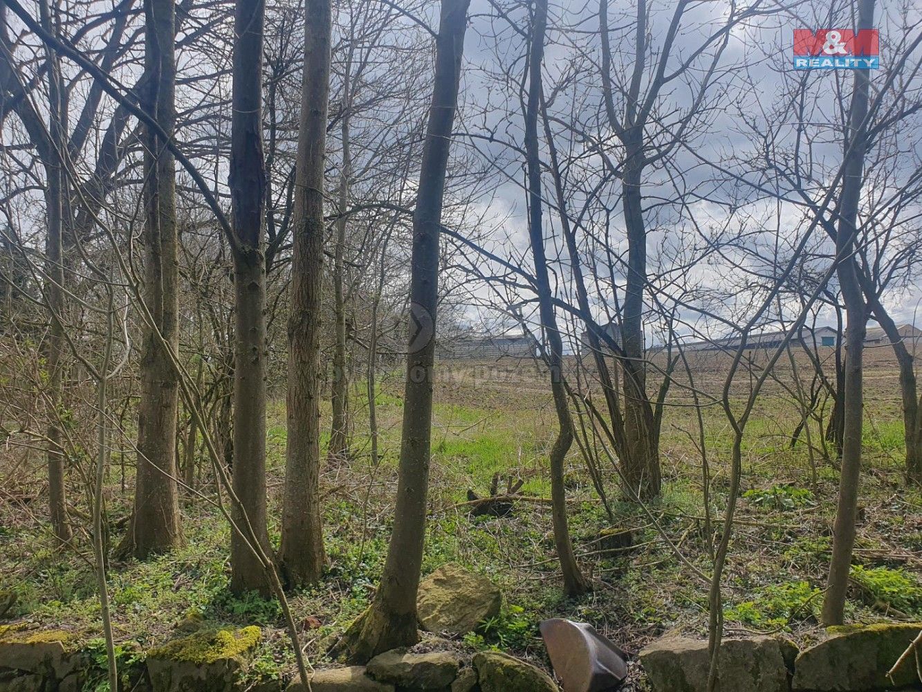Zemědělský pozemek · Kozlovice, okres Plzeň-jih, Plzeňský kraj - 3