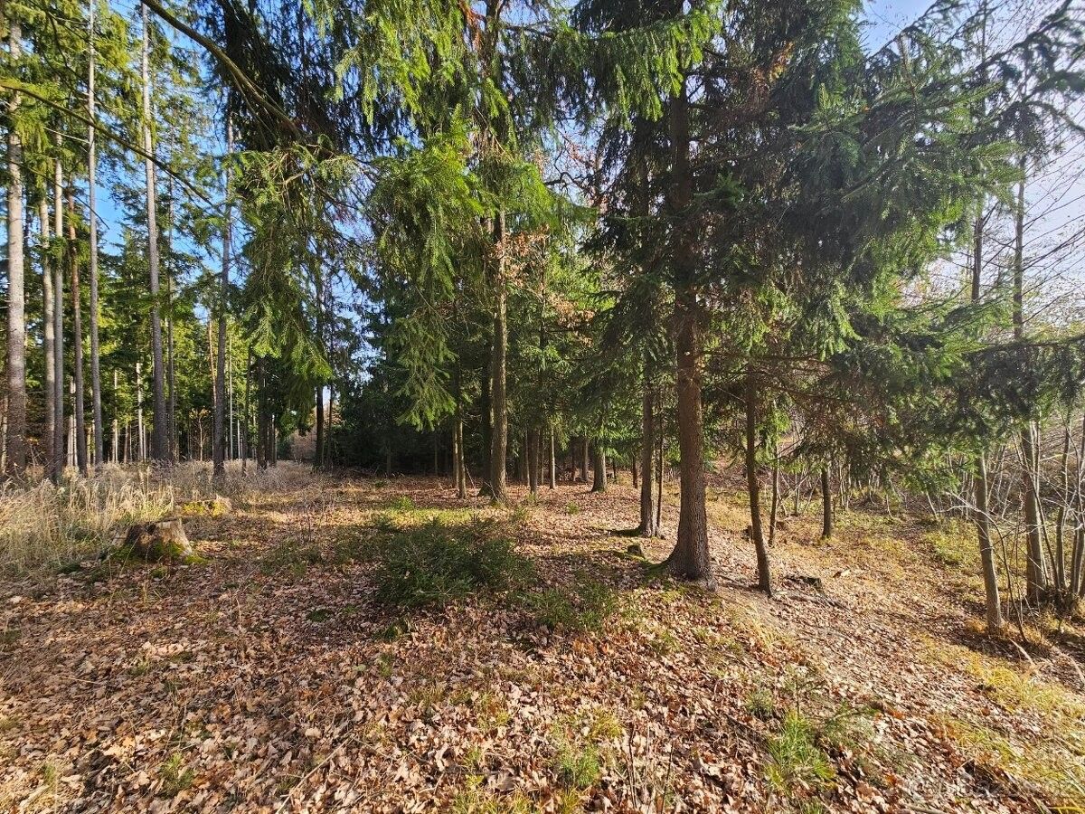 Pozemky pro bydlení, Dobrá Voda u Českých Budějovic, 373 16