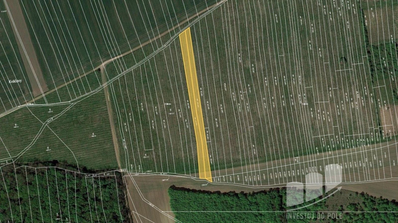Prodej zemědělský pozemek - Brumovice, 12 018 m²