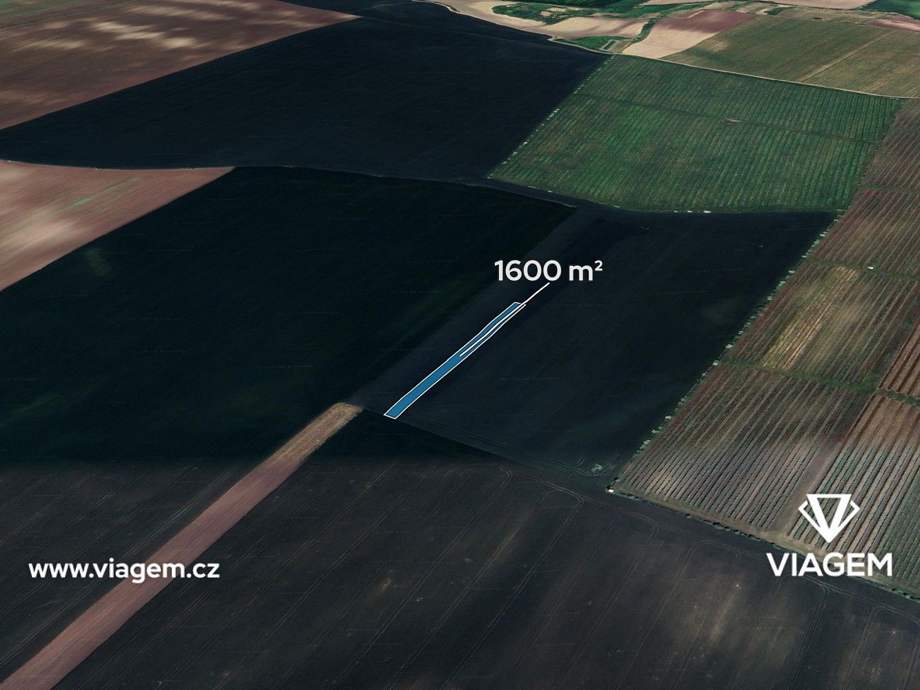 Zemědělské pozemky, Velké Pavlovice, okres Břeclav, Jihomoravský kraj - 1
