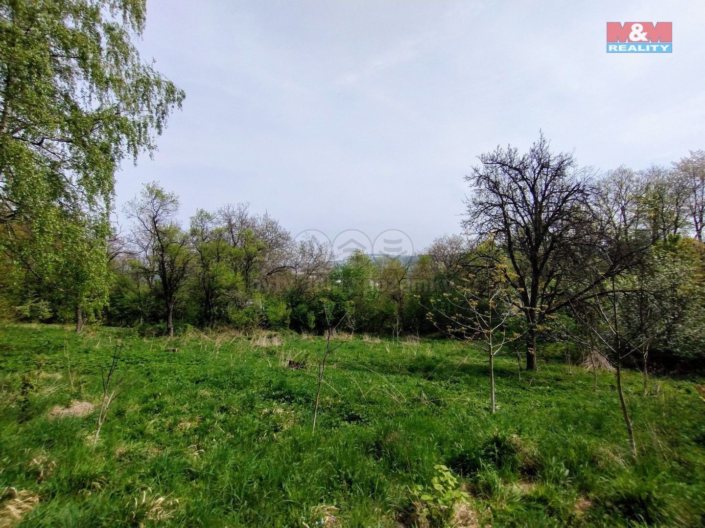 Chata · 38 m² · Hůrka, Jeseník nad Odrou - 3