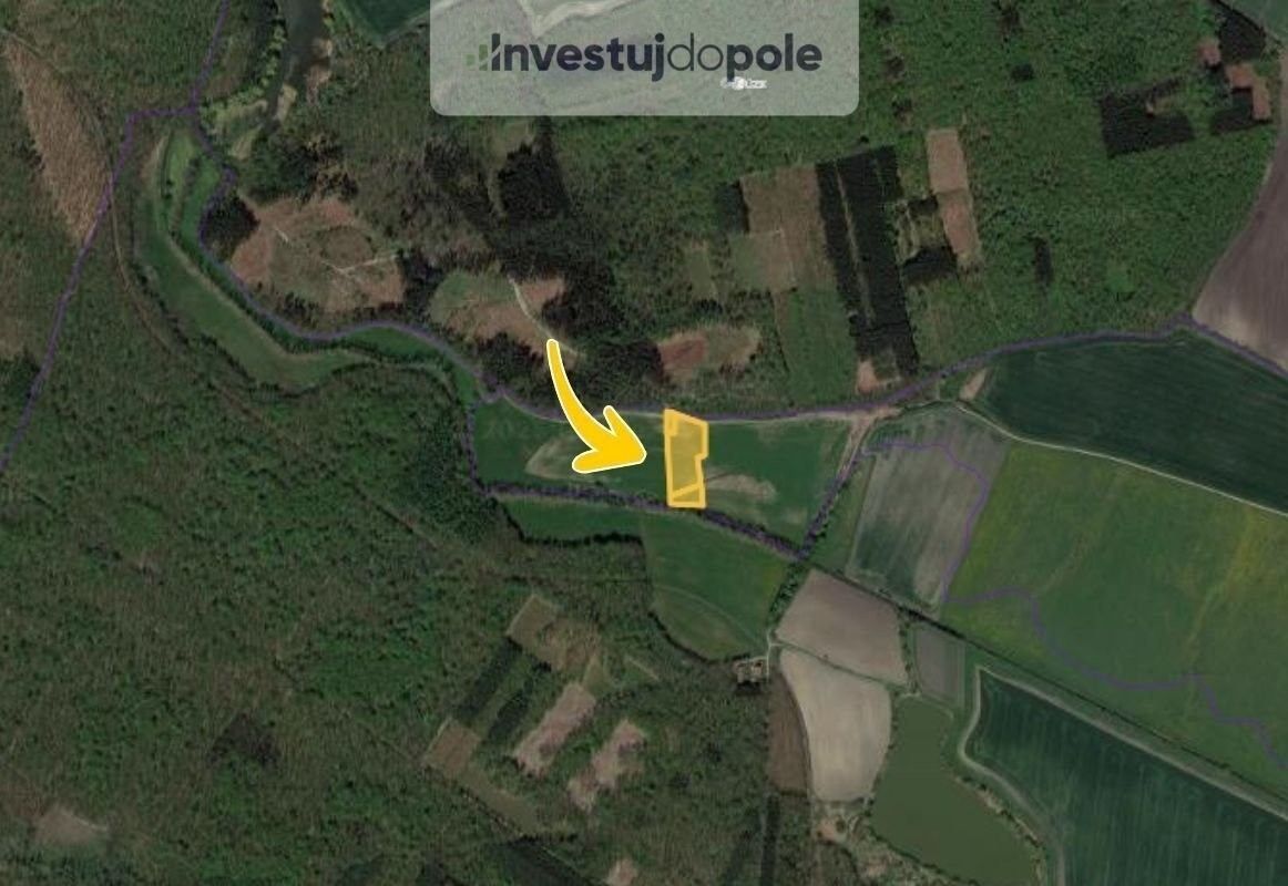 Prodej zemědělský pozemek - Městec Králové, 7 658 m²