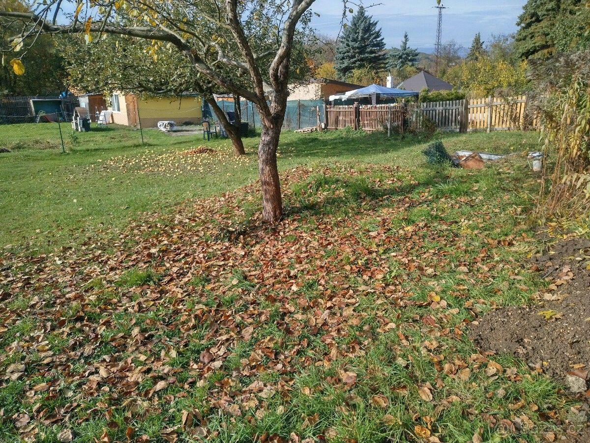 Zahrady, Teplice, 415 01