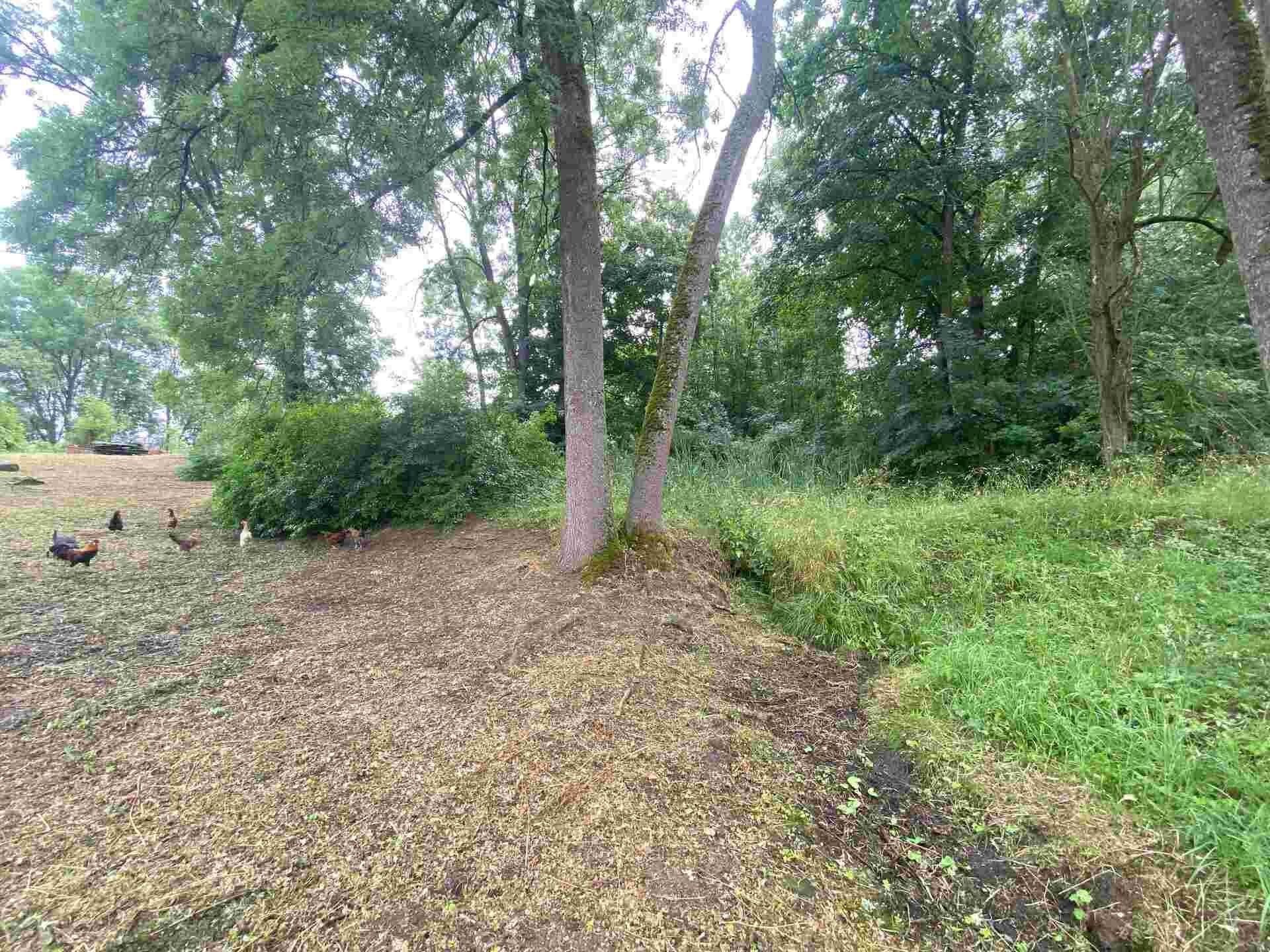 Prodej pozemek - Březová, 1 m²