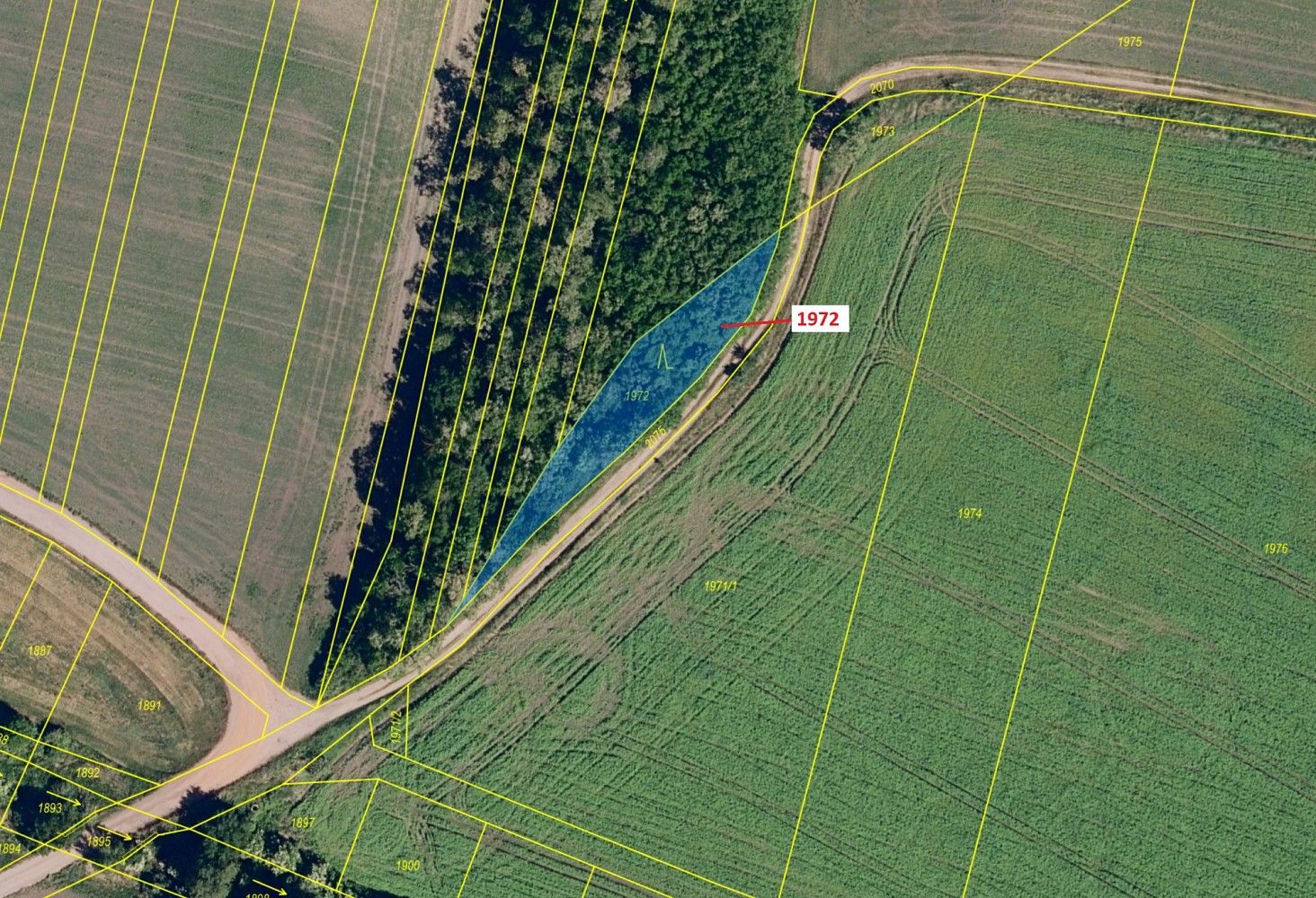 Lesy, Čejkovice - 2