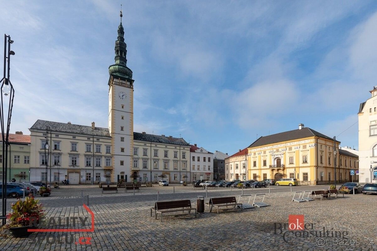 Prodej ostatní - Litovel, 784 01