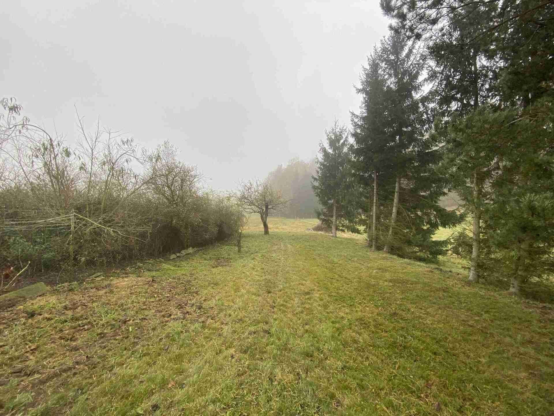 Ostatní, Černousy, 566 m²