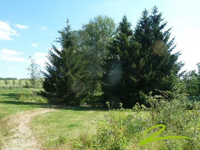 Pozemek pro bydlení · Štěnovický Borek - Nebílovský Borek, okres Plzeň-město, Plzeňský kraj - 3