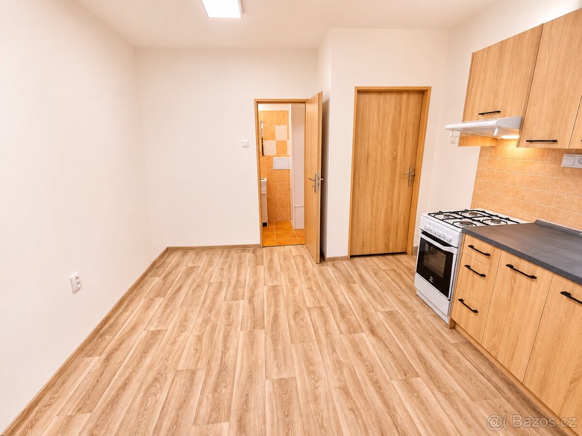 Byt 1+1 · 42 m² · Louny, 440 01 - 4