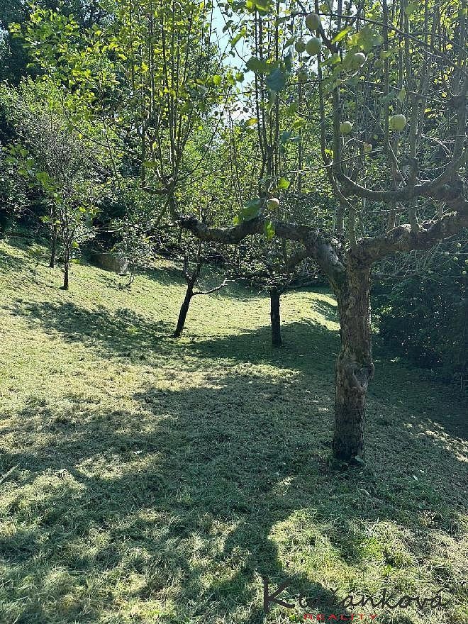 Pozemek pro bydlení · Zlín - Příluky, Zlínský kraj - 4