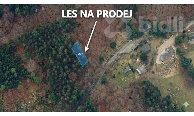 Lesy, Šumburk nad Desnou, Tanvald