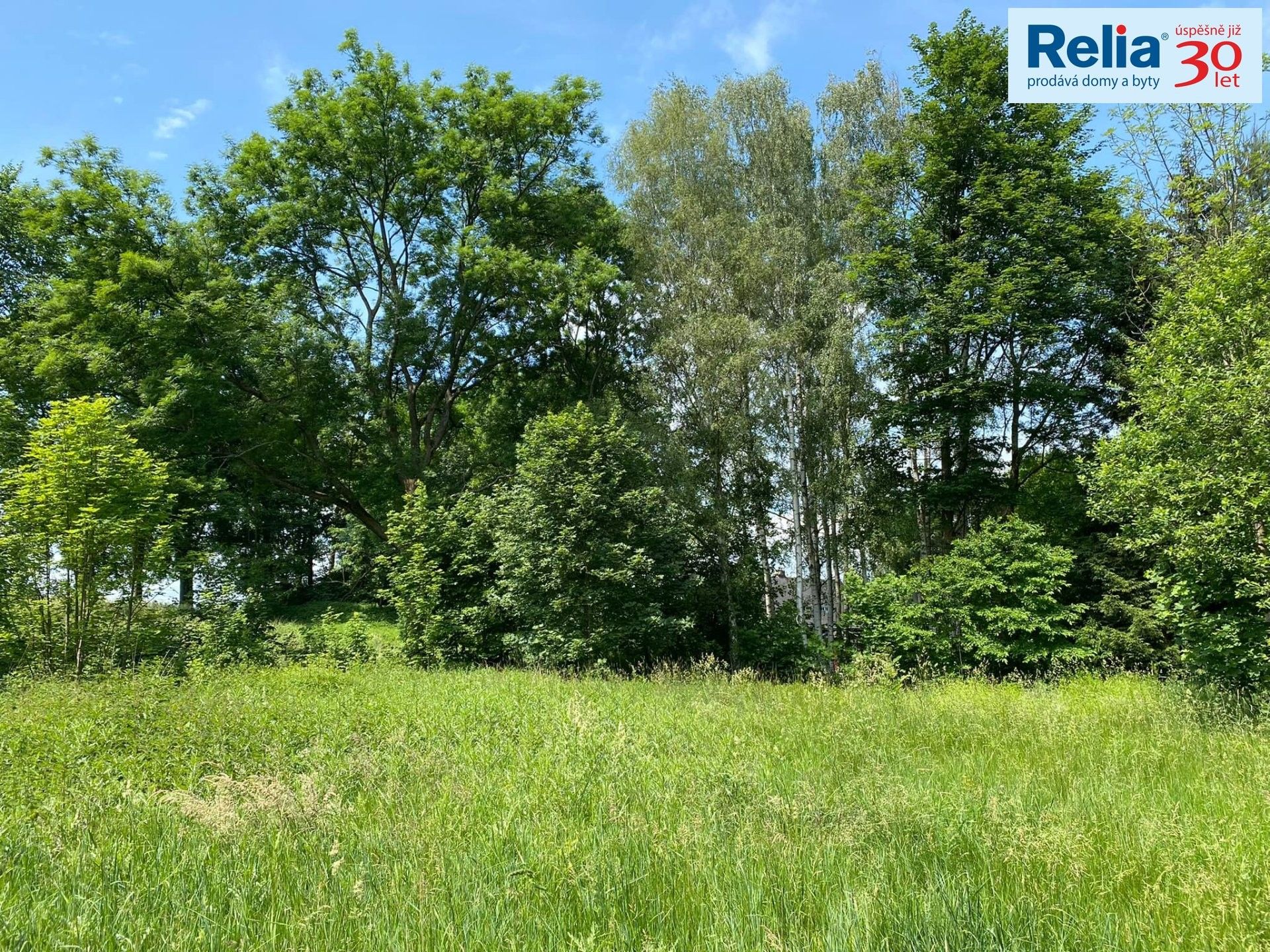 Pozemky pro bydlení, Království, Šluknov