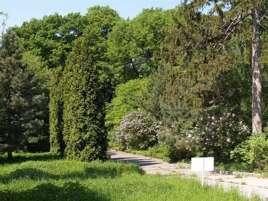 Obchodní prostory, Přestavlky, Přestavlky - Přestavlky u Přerova, Olomoucký kraj, 9 800 m² - 2