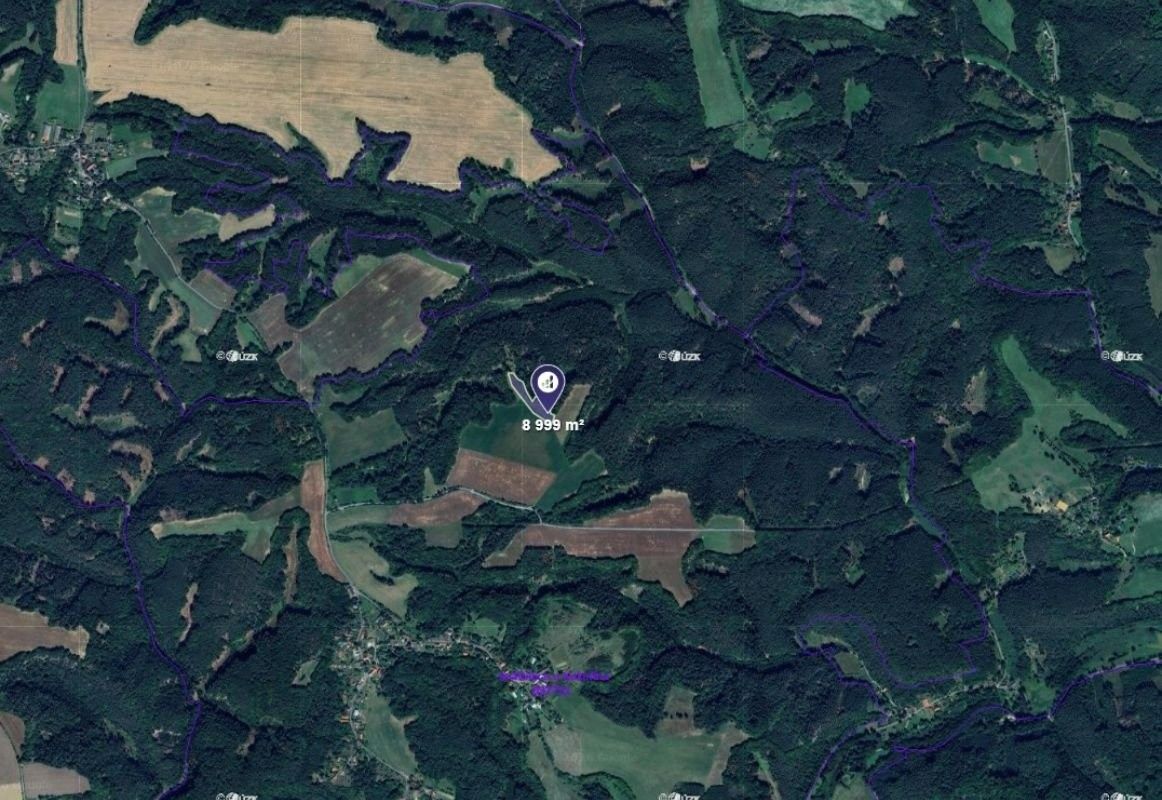 Zemědělské pozemky, Dobřeň, 8 999 m² - 2