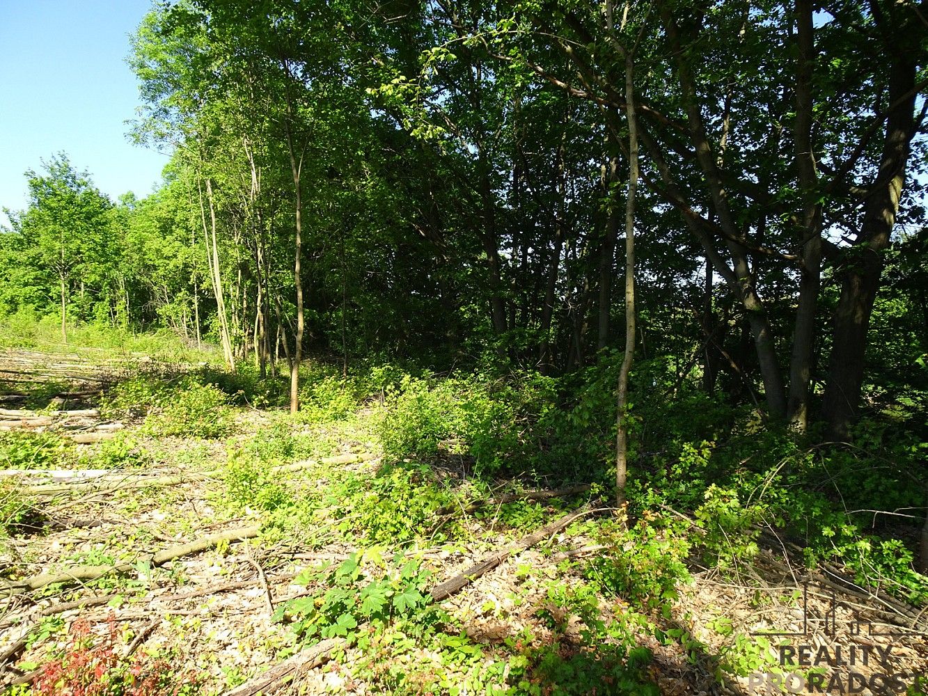 Pozemek · Valy, okres Pardubice, Pardubický kraj - 3