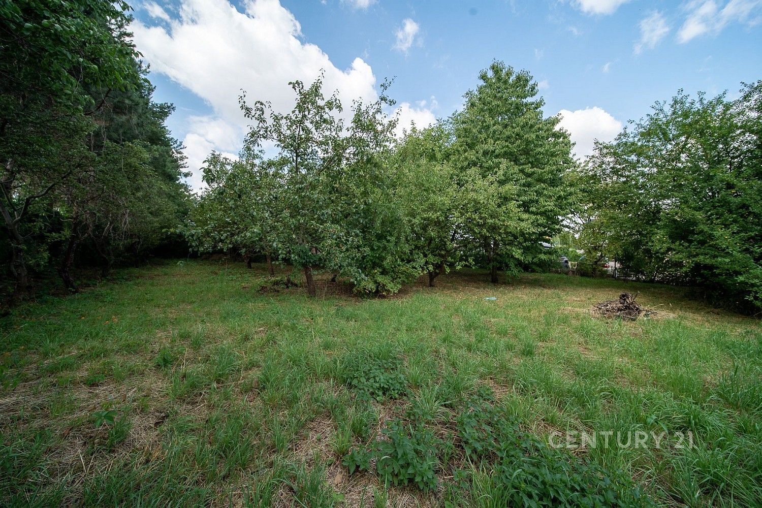 Rodinný dům · 145 m² · Radonice, okres Praha-východ, Středočeský kraj - 4