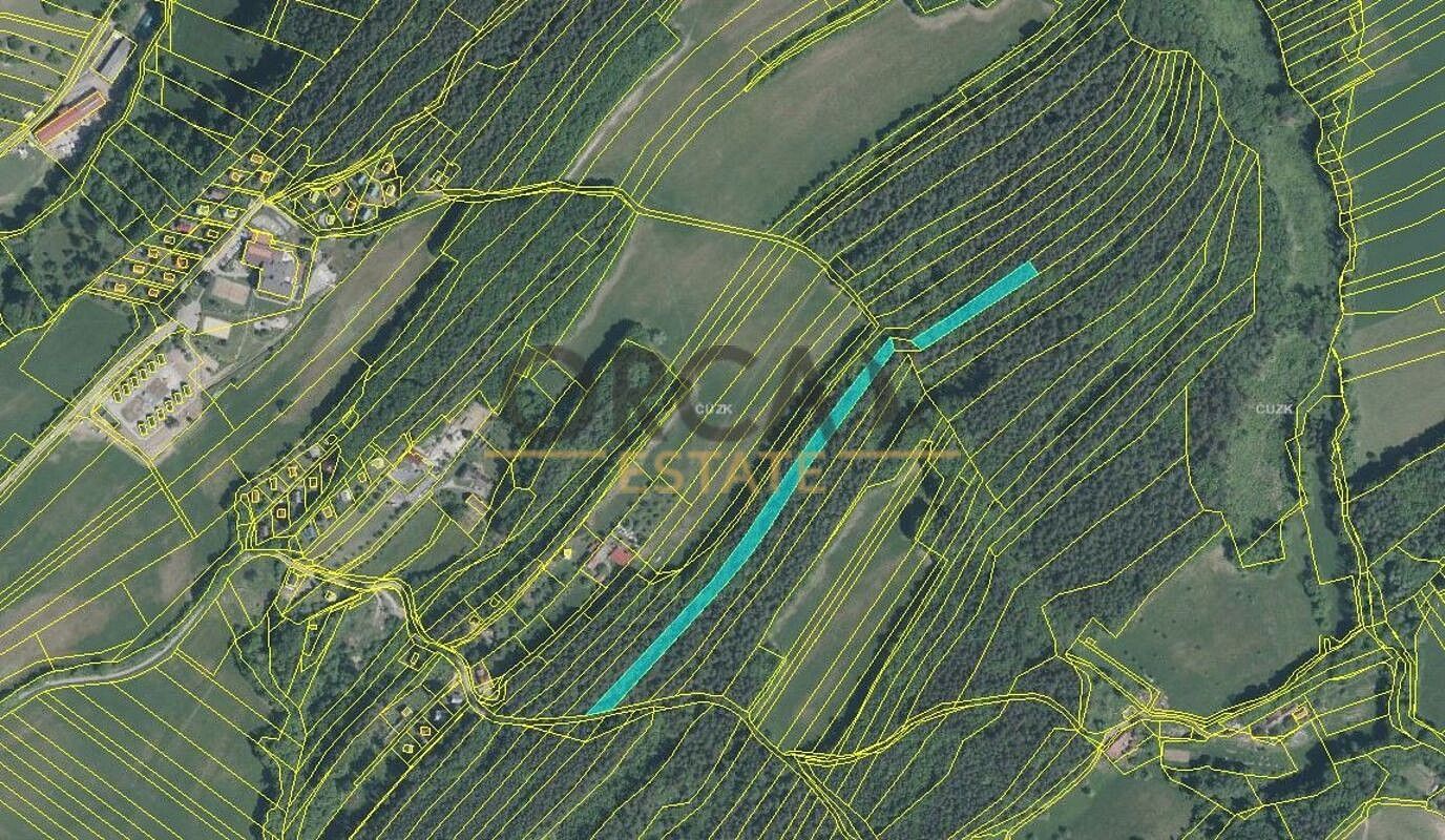 Les · Pozlovice, okres Zlín, Zlínský kraj - 2
