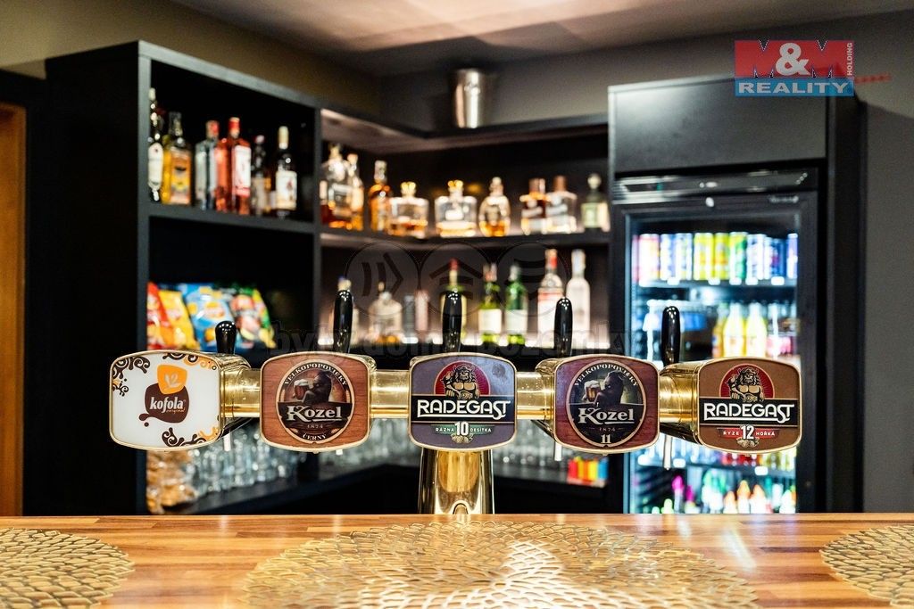 Restaurace, Těmice, 165 m²