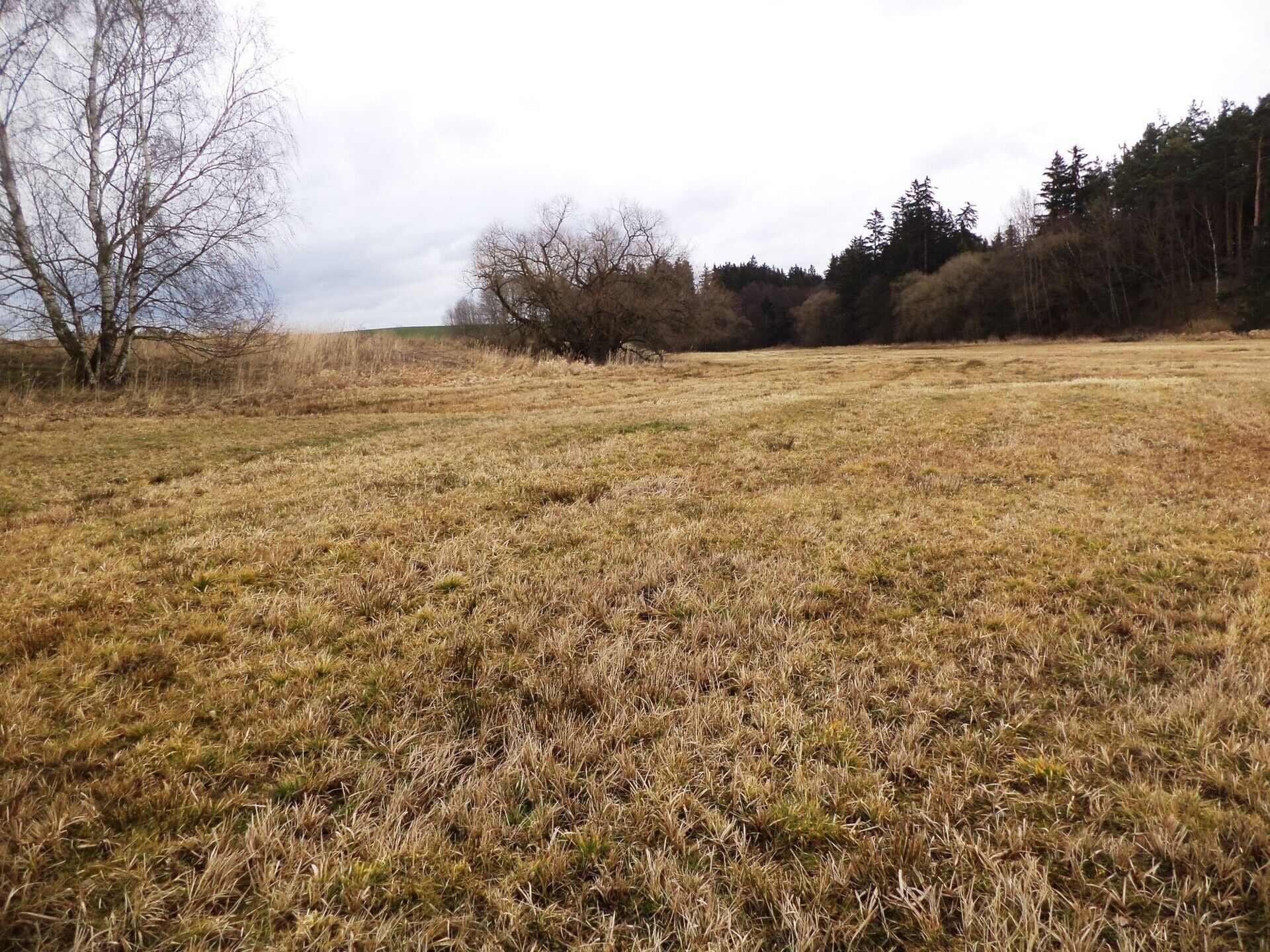 Ostatní, Urbaneč, Peč, 19 m²